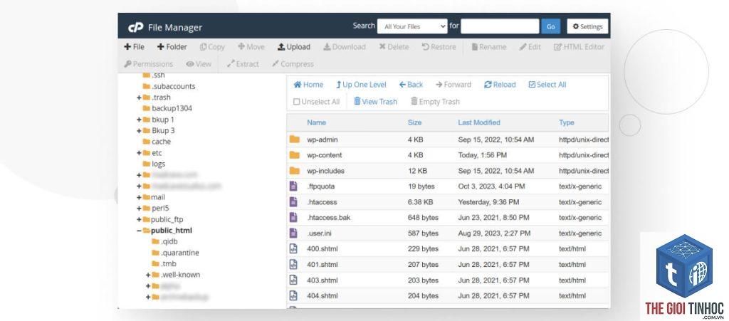 wordpress upload timeout