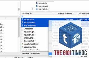 wordpress uploads folder permissions lỗi