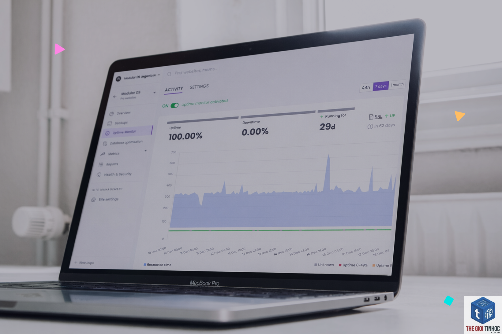 wordpress uptime monitoring - Hình 4