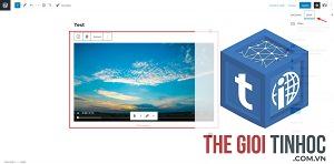 wordpress video autoplay lỗi