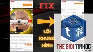 wordpress video không phát