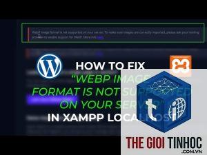 wordpress webp browser support lỗi