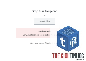 wordpress webp generation failed