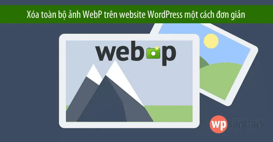 wordpress webp không hiển thị - Hình 2