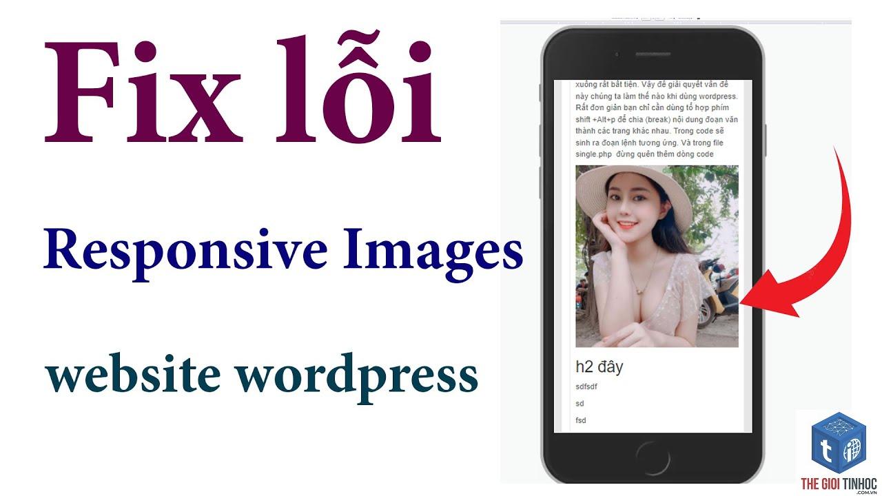 wordpress webp responsive lỗi - Hình 2