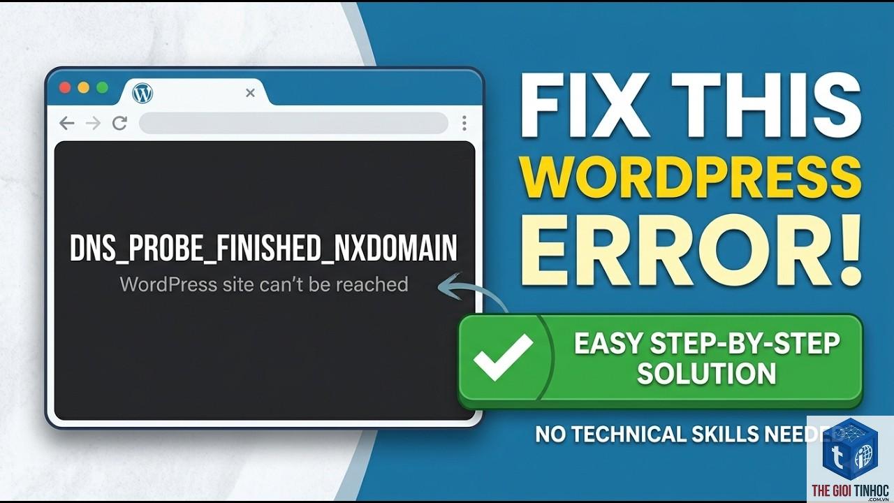 wordpress website dns error - Hình 4