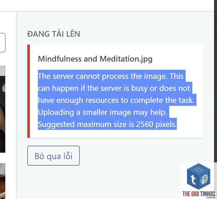 wordpress website không tải