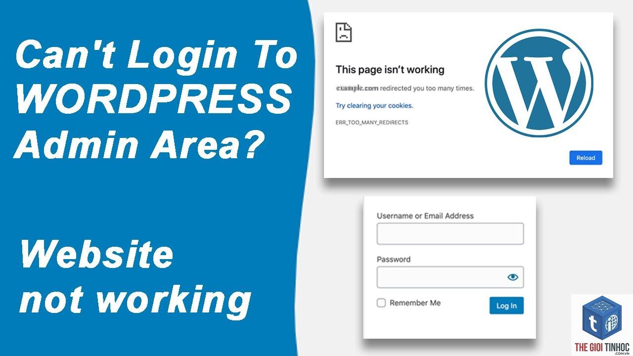 wordpress website not responding - Hình 4