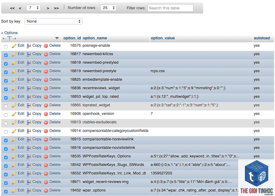 wordpress wp_options lỗi - Hình 1