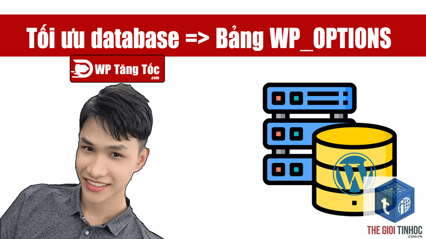 wp options wordpress là gì - Hình 2