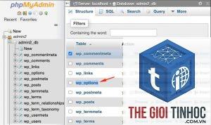wp_termmeta là gì