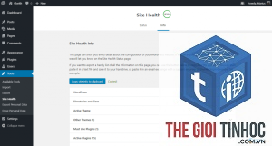 xem site health wordpress