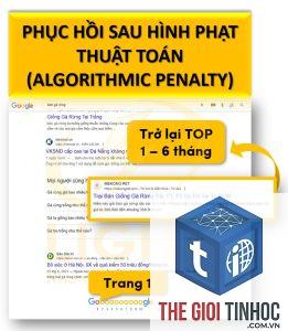 algorithmic penalty là gì