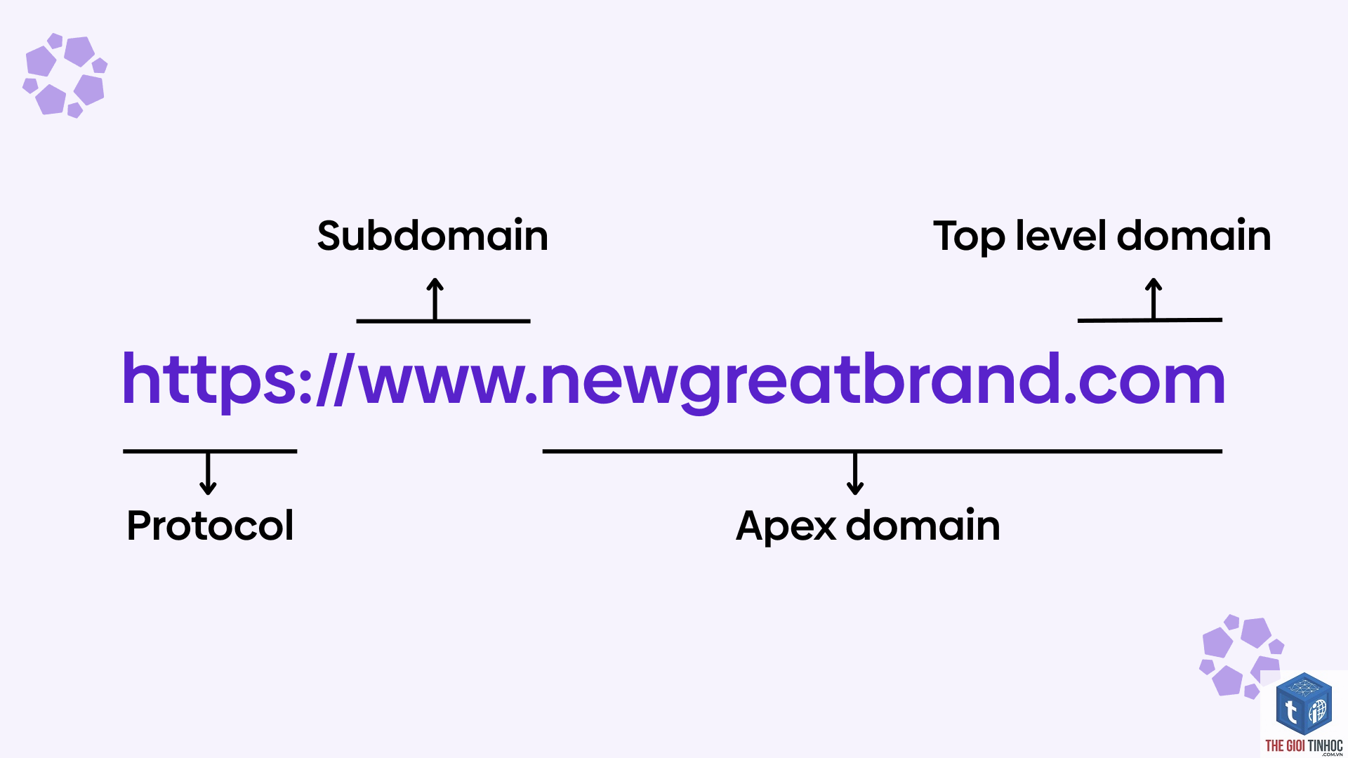 apex domain là gì - Hình 1