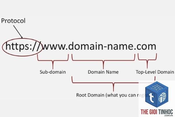 apex domain là gì - Hình 2