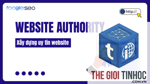 authority link là gì