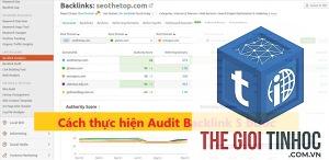 backlink audit là gì