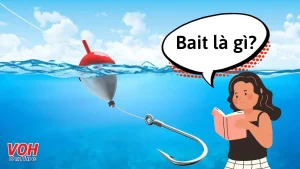 bait content là gì