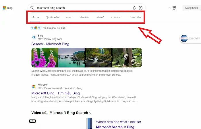 bing copilot search là gì - Hình 4