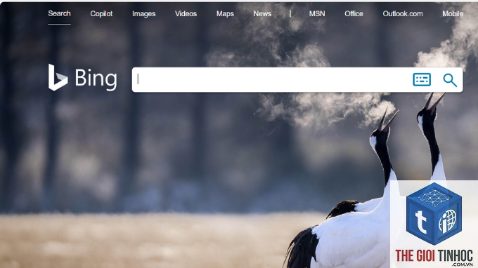 bing copilot search là gì - Hình 5