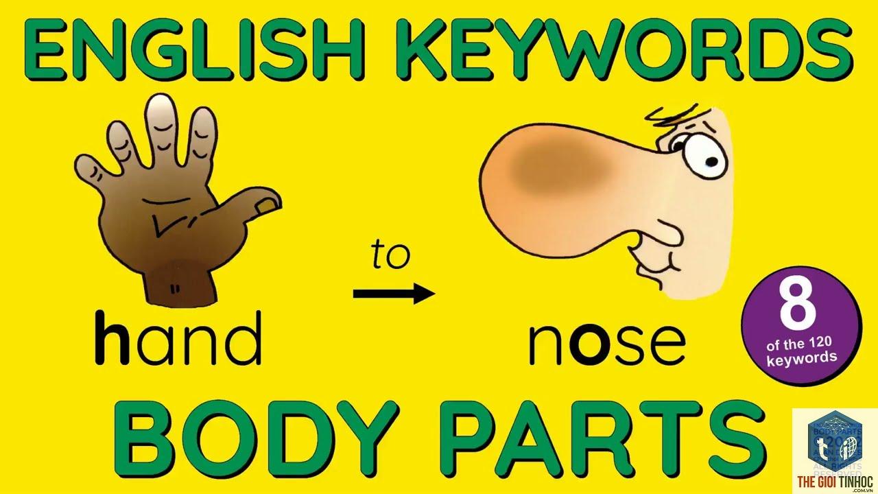 body keyword - Image 2