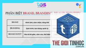 brand entity optimization là gì