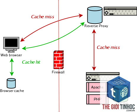 cache hit là gì - Hình 2