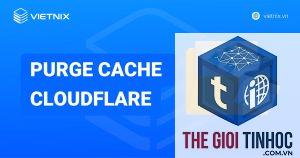cache purge là gì
