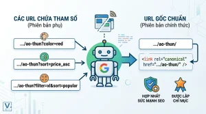 canonical chain là gì