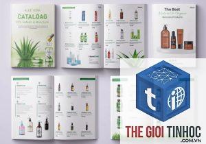 catalog sản phẩm