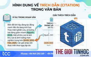 citation seo là gì