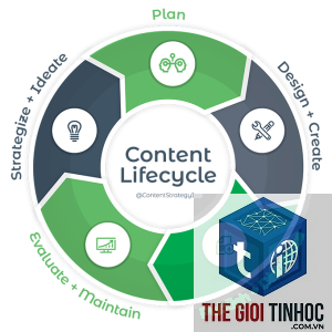 content lifecycle là gì