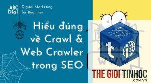 crawl report là gì