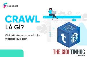 crawl response là gì
