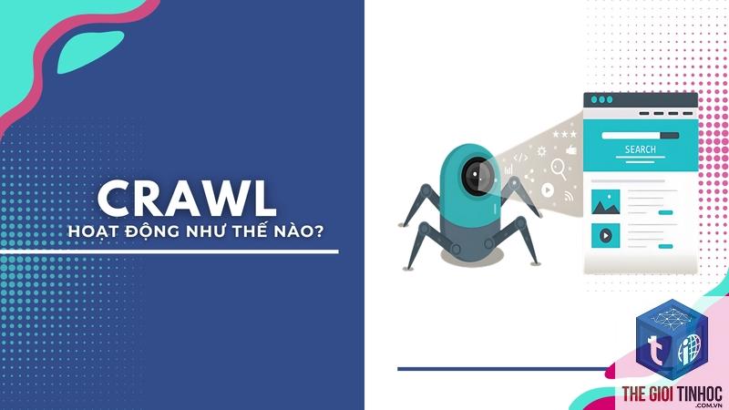 crawl response là gì - Hình 5