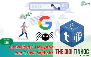 crawl session là gì