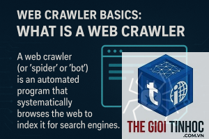 crawler directive là gì