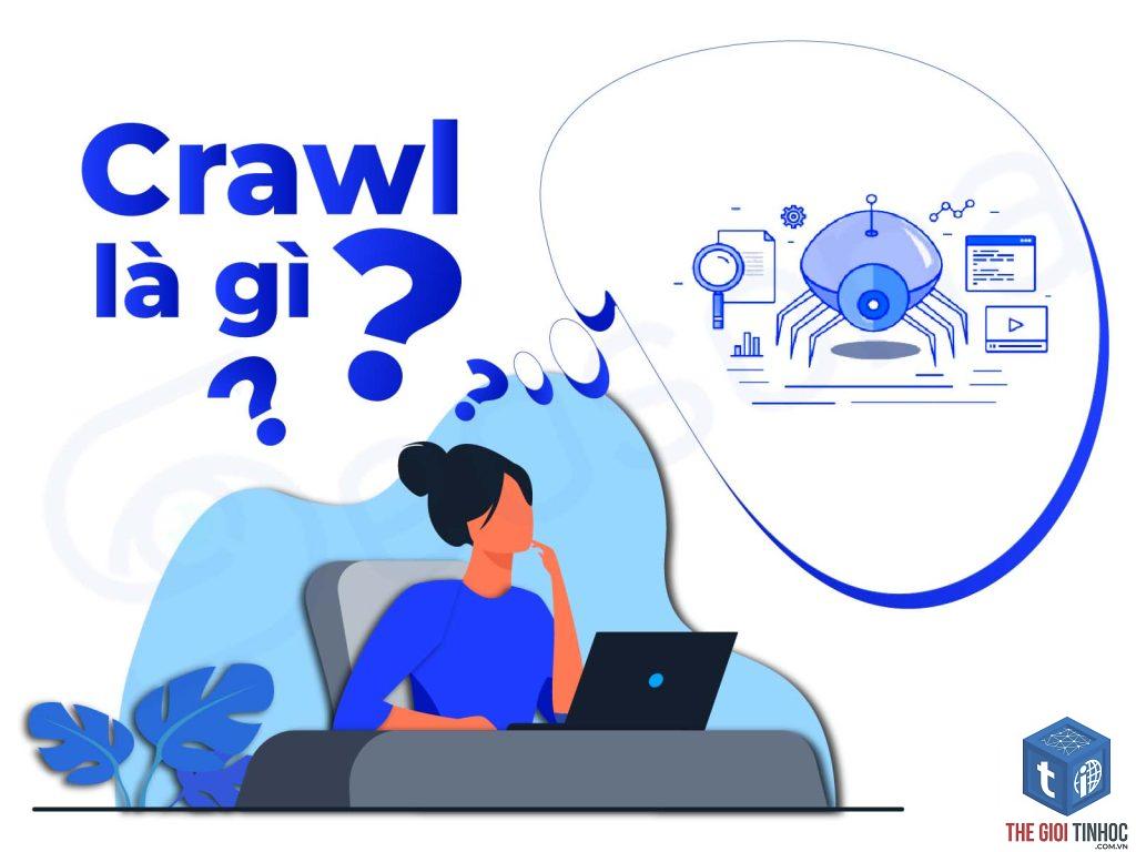 crawler directive là gì - Hình 4