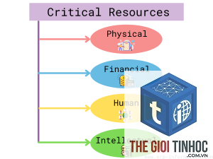 critical resource là gì