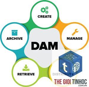digital asset là gì