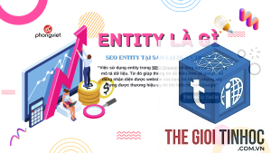 digital entity là gì