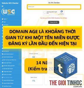 domain age là gì