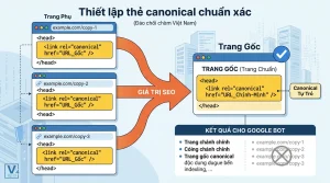 duplicate canonical là gì
