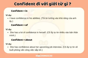 entity confidence là gì