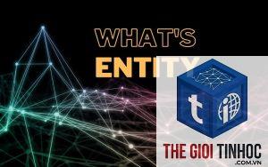 entity signal là gì