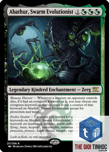 evergreen keyword - Image 4