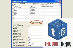 field data là gì