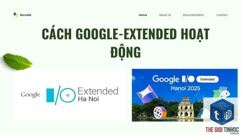 google extended là gì