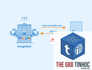 hard 404 là gì