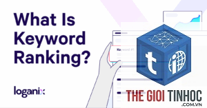 keyword popularity